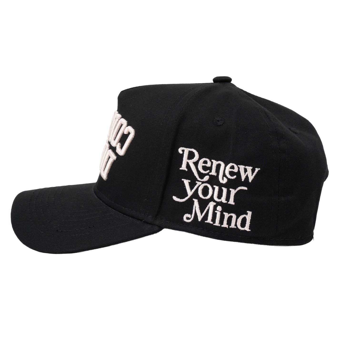 Do Not Conform "ndsᴉpǝ poʍu" Black Curved Bill Snapback