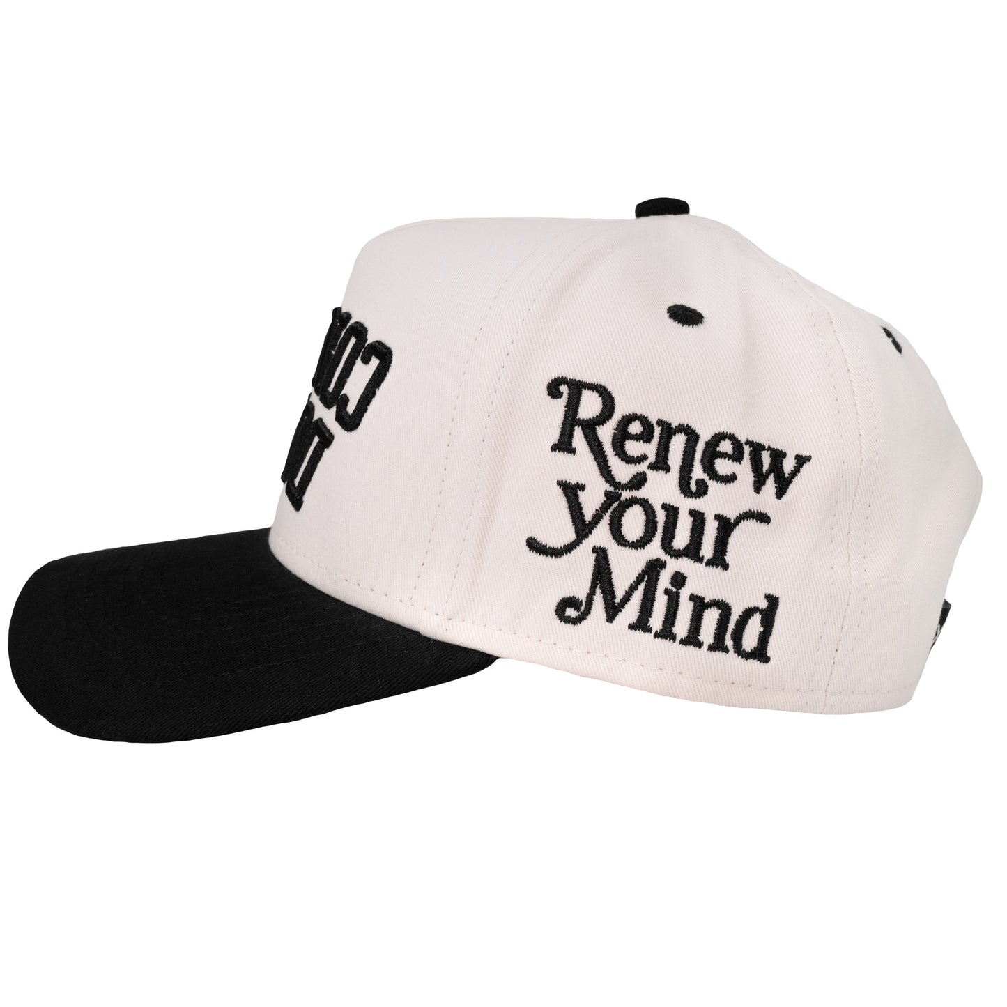 Do Not Conform "ndsᴉpǝ poʍu" Curved Bill Snapback