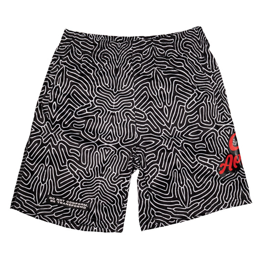 JOGGERS / SHORTS – CXXII Apparel